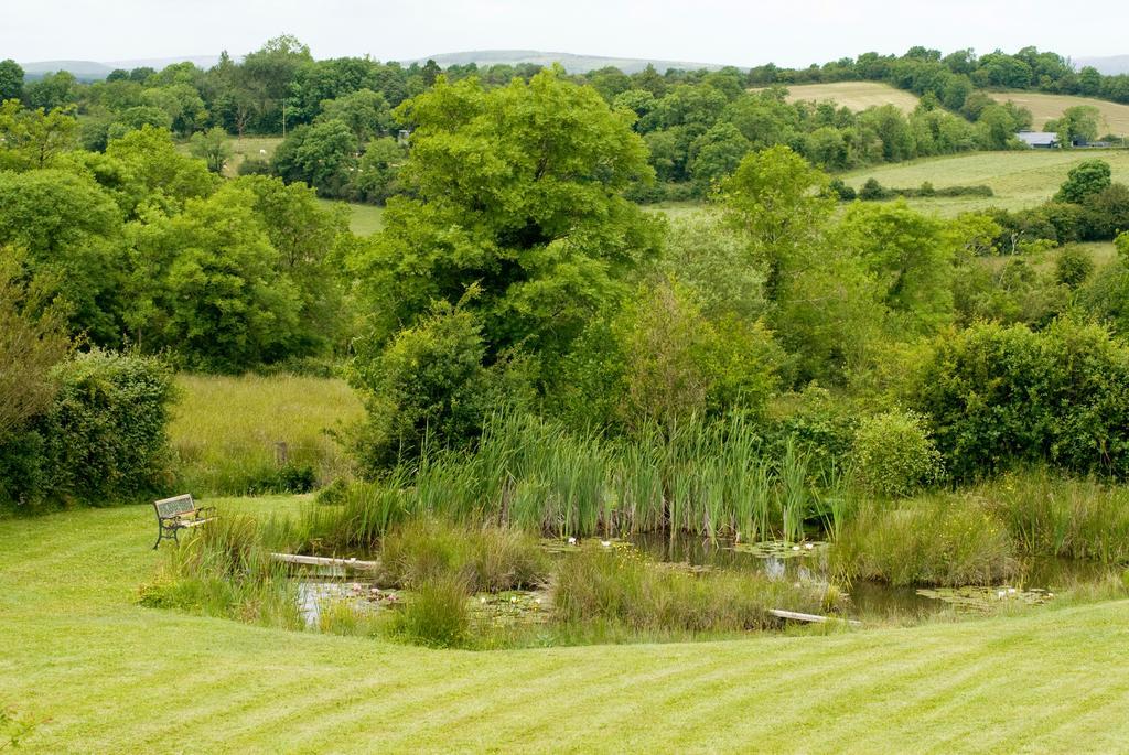 Lake Rise Holiday Home At Kilmaddaroe Carrick on Shannon Chambre photo